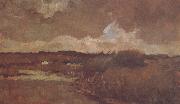 Vincent Van Gogh Marshy Landscape (nn04) France oil painting reproduction